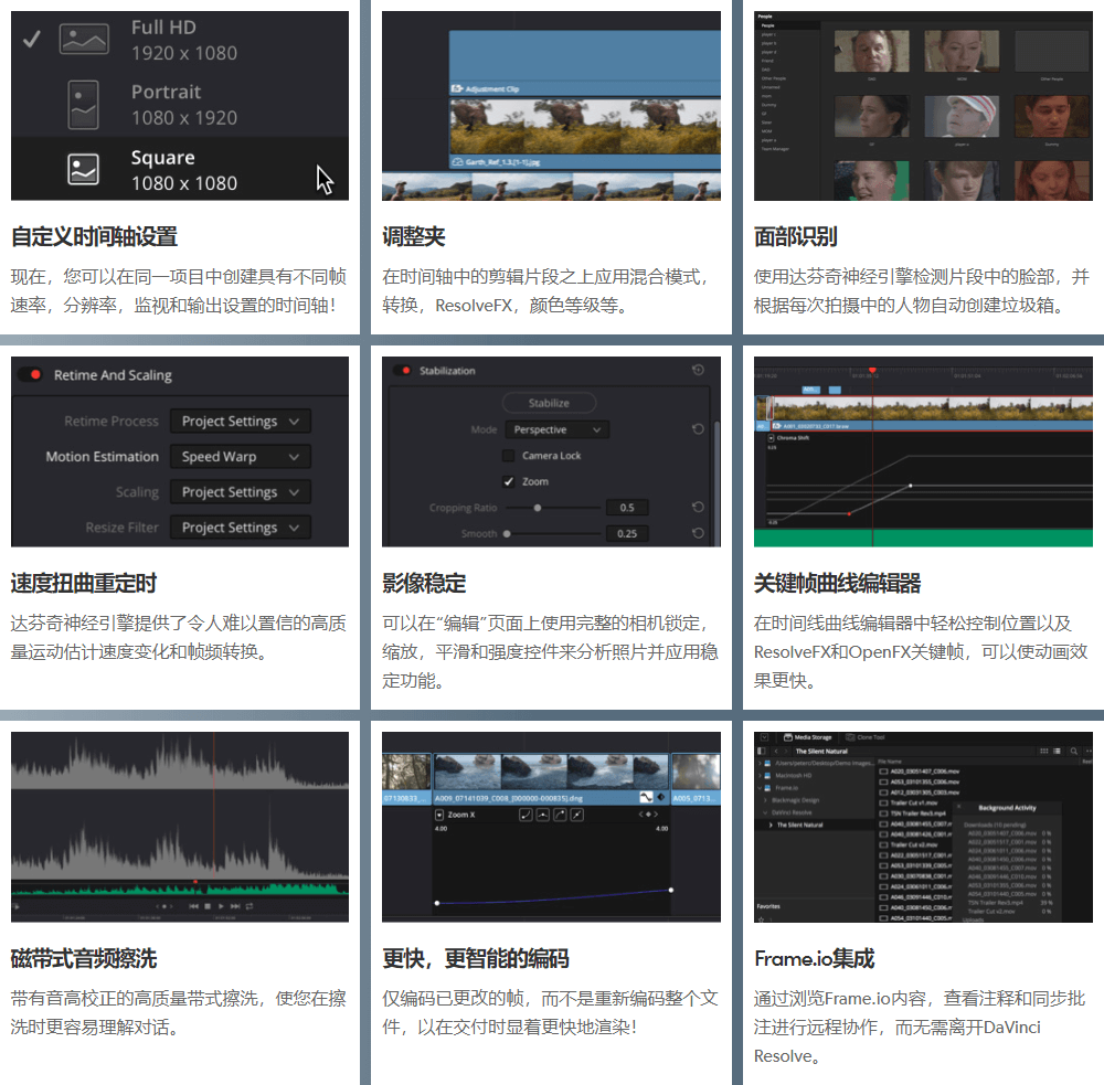 Davinci Resolve Studio 16.1 达芬奇调色软件中英文破解版 软件-第3张